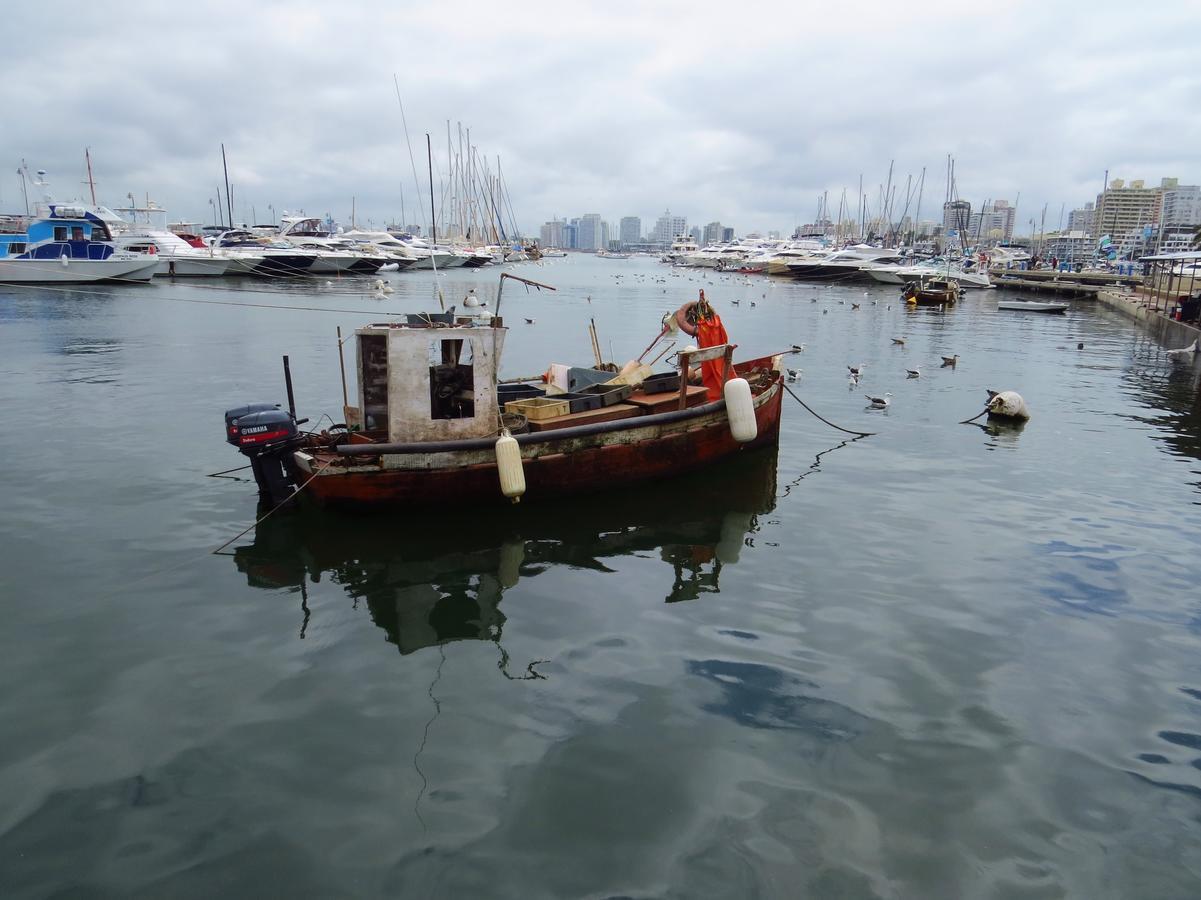 Los Sargos Punta del Este Exterior foto
